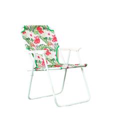 Danube Home Flora Steel Folding Chair (45 x 54 x 73 cm)