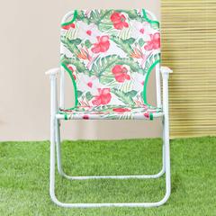 Danube Home Flora Steel Folding Chair (45 x 54 x 73 cm)