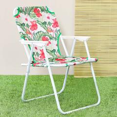 Danube Home Flora Steel Folding Chair (45 x 54 x 73 cm)