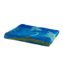 Velour Beach Towel in Assorted Colors (100 x 178 cm)