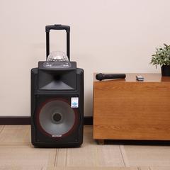 Olsenmark Rechargeable Trolley Speaker System, OMMS1166