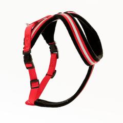 Company Of Animals Comfy Harness (Small)