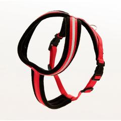 Company Of Animals Comfy Harness (Small)