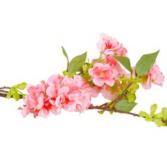 غصن ازهار الكرز لون خوخي اصطناعية ريجويس دانوب هوم (81 سم)