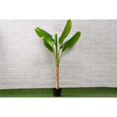 شجرة موز اصطناعية حول الإمارات (160 سم)