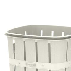 Cosmoplast Cedargrain Plastic Laundry Bin (33 L, Off White)