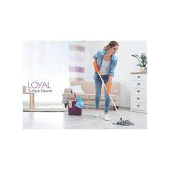 Loyal Surface Cleaner Liquid (Seaside Breeze, 2400 ml)