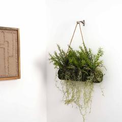 Fern Hanging Plant (103.5 cm, Green)