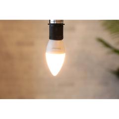 Oshtraco LED Bulb (4 W, Warm White)