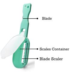 Fissman Plastic Fish Scaler W/Container (20 cm)
