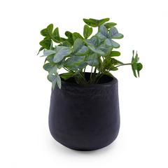Apolline Aluminum Planter (19 x 18 cm, Black)
