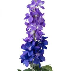 Delphinium Single Stem Flower (88 cm, Purple)