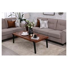Pan Emirates Wintech Wood & Metal Coffee Table (140 x 70 x 45 cm)
