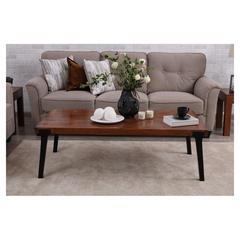 Pan Emirates Wintech Wood & Metal Coffee Table (140 x 70 x 45 cm)