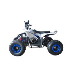 Myts Off-Road ATV Fully Automatic Quad Bike (80 cc, Blue)