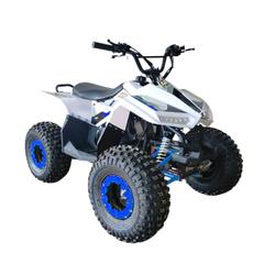 Myts Off-Road ATV Fully Automatic Quad Bike (80 cc, Blue)