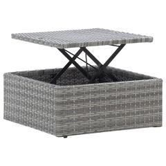 vidaXL Garden Lounge Bed with Roof Mixed Grey Poly Rattan