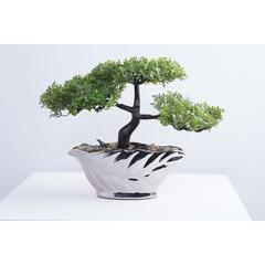 Pan Emirates Bonsai Elm Artificial Tree (26 cm)