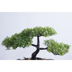 Pan Emirates Bonsai Elm Artificial Tree (26 cm)