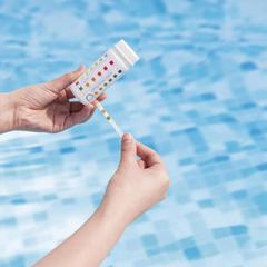 Bestway Flowclear Pool & Spa Test Strips