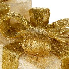 Premier Decorations Lights Parcels Set (3 Pc.)