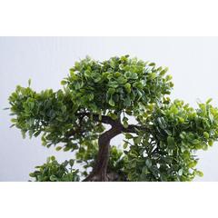 Pan Emirates Bonsai Aglaia Odorata Artificial Plant (38 cm)
