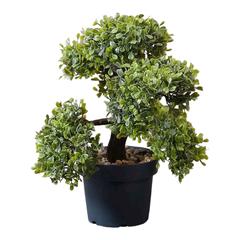 Pan Emirates Bonsai Aglaia Odorata Artificial Plant (38 cm)