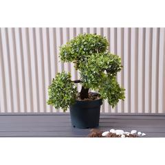 Pan Emirates Bonsai Aglaia Odorata Artificial Plant (38 cm)