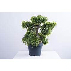 Pan Emirates Bonsai Aglaia Odorata Artificial Plant (38 cm)