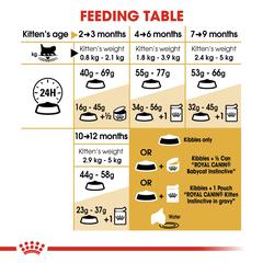 Royal Canin Feline Breed Nutrition Kitten Persian (2 kg)