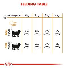 Royal Canin Feline Care Nutrition Hair & Skin Care Cat Food (Adult Cats, 4 kg)