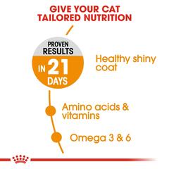 Royal Canin Feline Care Nutrition Hair & Skin Care Cat Food (Adult Cats, 4 kg)
