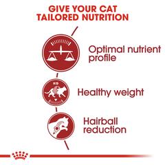 Royal Canin Feline Fit Cat Food (4 kg)