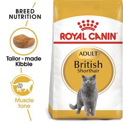 Royal Canin Feline Breed Nutrition British Shorthair Cat Food (4 kg)