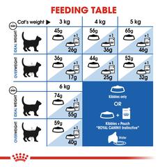 Royal Canin Feline Adult Complete Cat Food Indoor (4 kg)