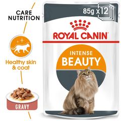 Royal Canin Feline Health Nutrition Intense Beauty Wet Cat Food (Chunks in Gravy, Adult Cats, 85 g)