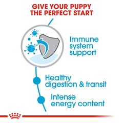 Royal Canin Health Nutrition X-Small Breed Junior Dog Food (1.5 kg)