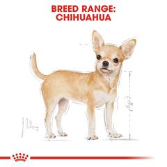 Royal Canin Breed Complete Chihuahua Adult (1.5 kg)