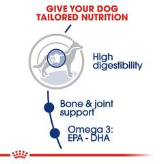 Royal Canin Size Health Nutrition Maxi Adult Dog Food (4 kg)