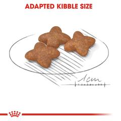 طعام رويال كانين هيلث نيوتريشن للكلاب البالغة (كلاب صغيرة الحجم، 8 كجم)