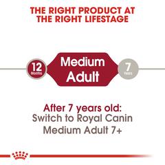 Royal Canin Medium Adult Health Nutrition (10 Kg)