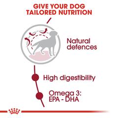Royal Canin Medium Adult Health Nutrition (10 Kg)