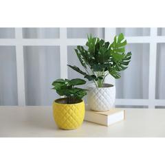 Pan Emirates Pineapple Ceramic Planter (18 cm)