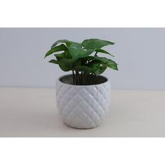 Pan Emirates Pineapple Ceramic Planter (18 cm)