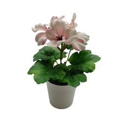 نبات إبرة الراعي مع أصيص (15 سم، وردي)