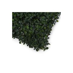 Artificial Grass Wall Panel (25 x 25 cm, Green)