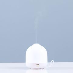 Danube Home Aroma Electric Diffuser W/USB Cable (110 ml)