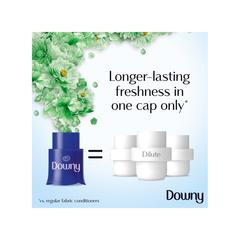 Downy Concentrate Fabric Softener (Dream Garden, 1 L)