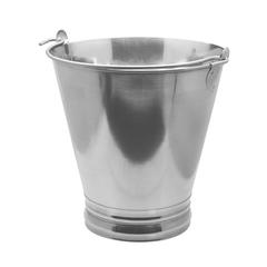 Raj Stainless Steel Bucket (10 L)