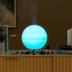 Danube Home Electric Diffuser (600 ml)